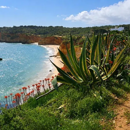 Algarve Near The Rosa 407 アパート *